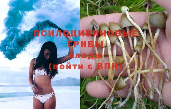альфа пвп Баксан