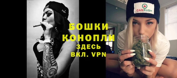 шишки Балахна
