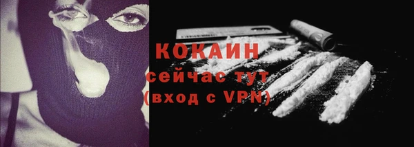 шишки Балахна