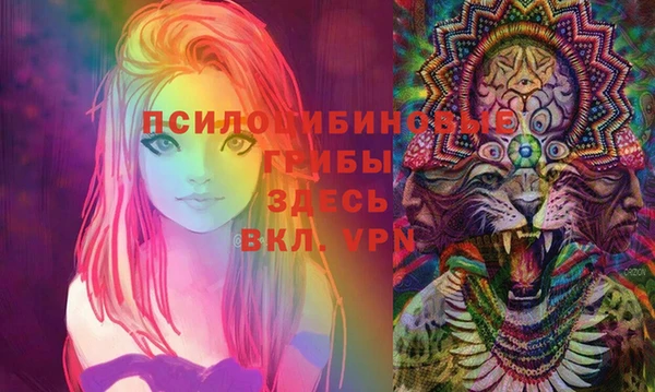 шишки Балахна
