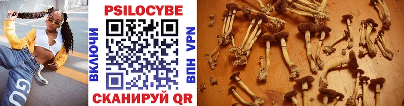 Псилоцибиновые грибы прущие грибы Купить закладки Гудермес
