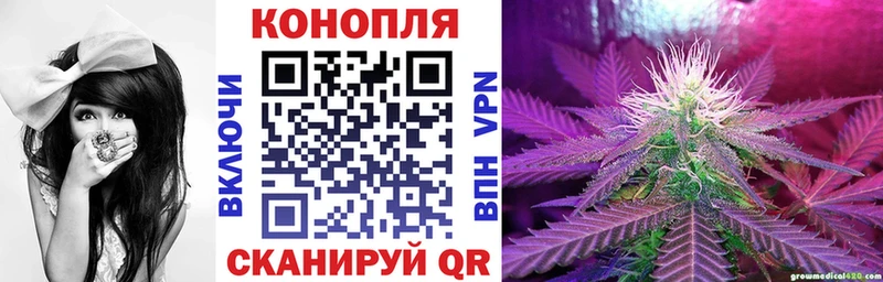 Канабис планчик Гудермес